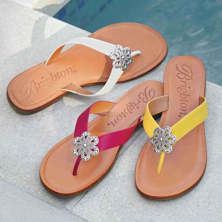 Aster Flower Thongs - Image 16